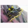 Ролики Rollerblade Fury black-yellow 33-38